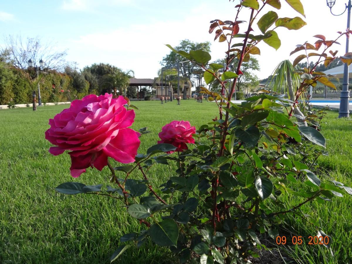Bauernhof Fieri Botricello